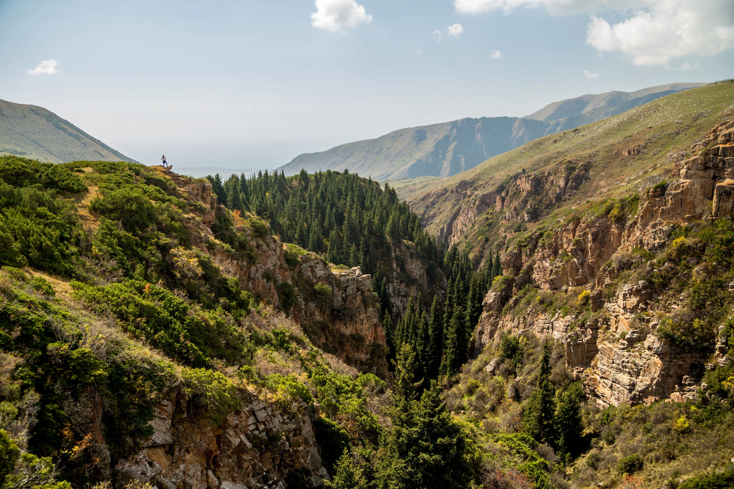 _MG_9892.jpg