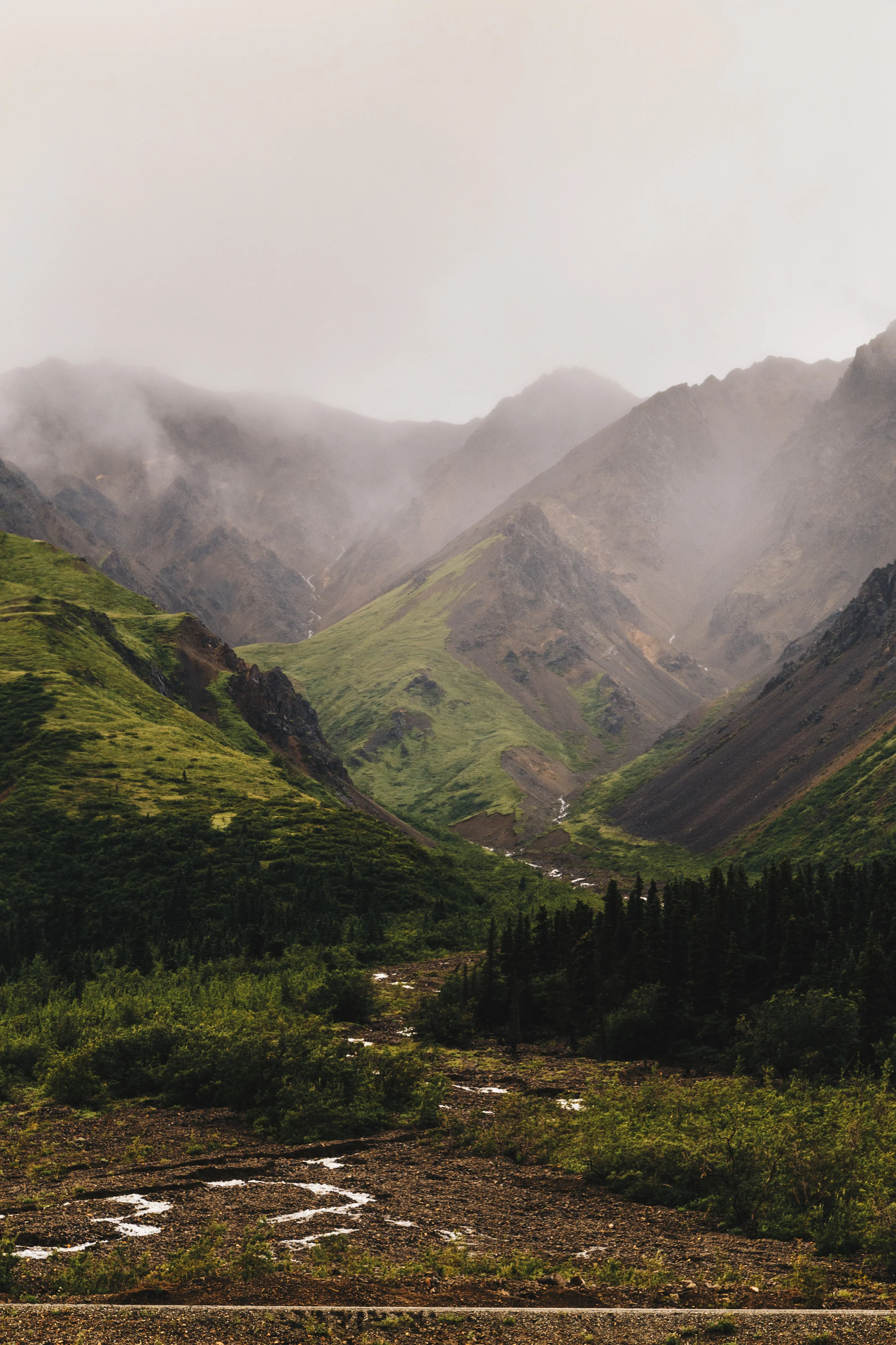 _MG_8505.jpg