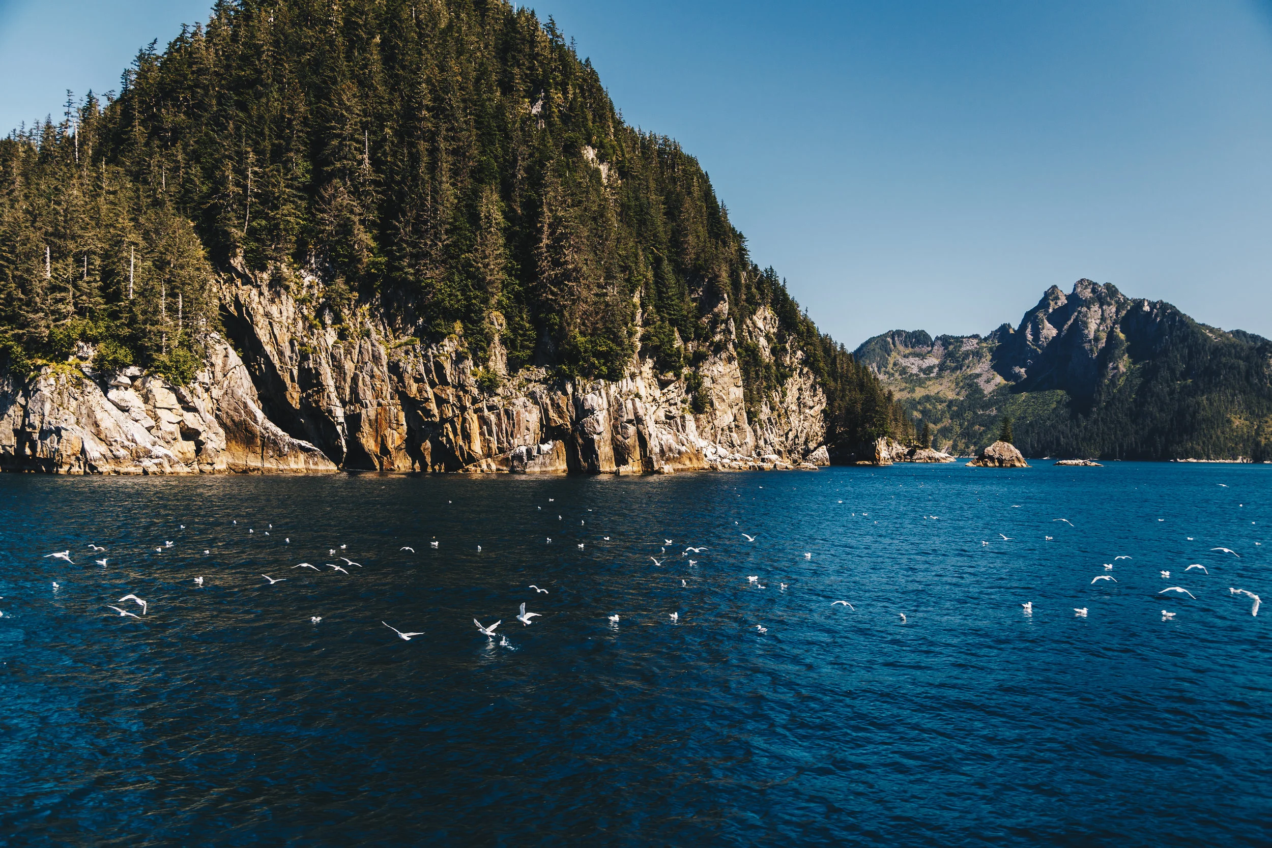_MG_8329.jpg
