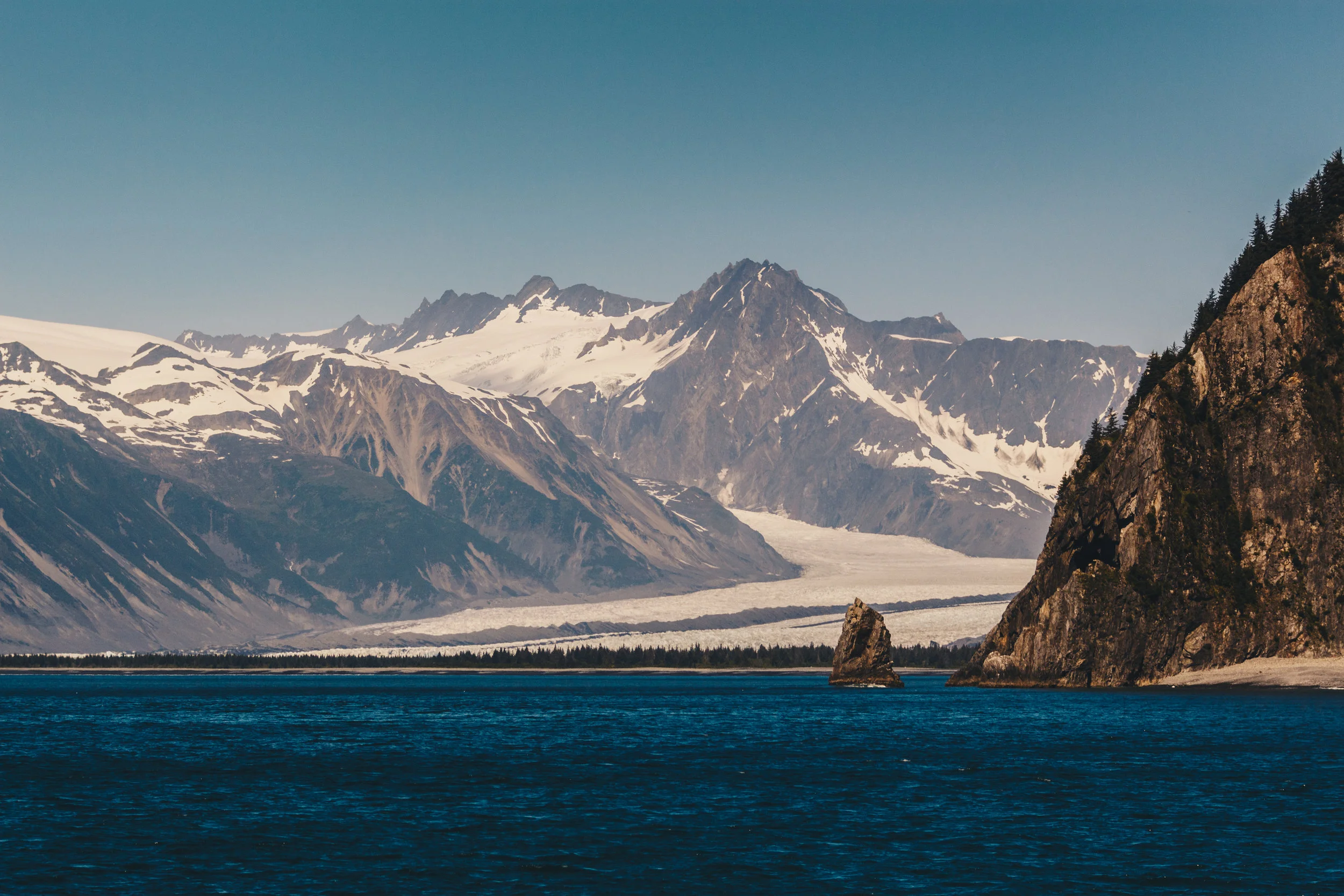 _MG_6788.jpg