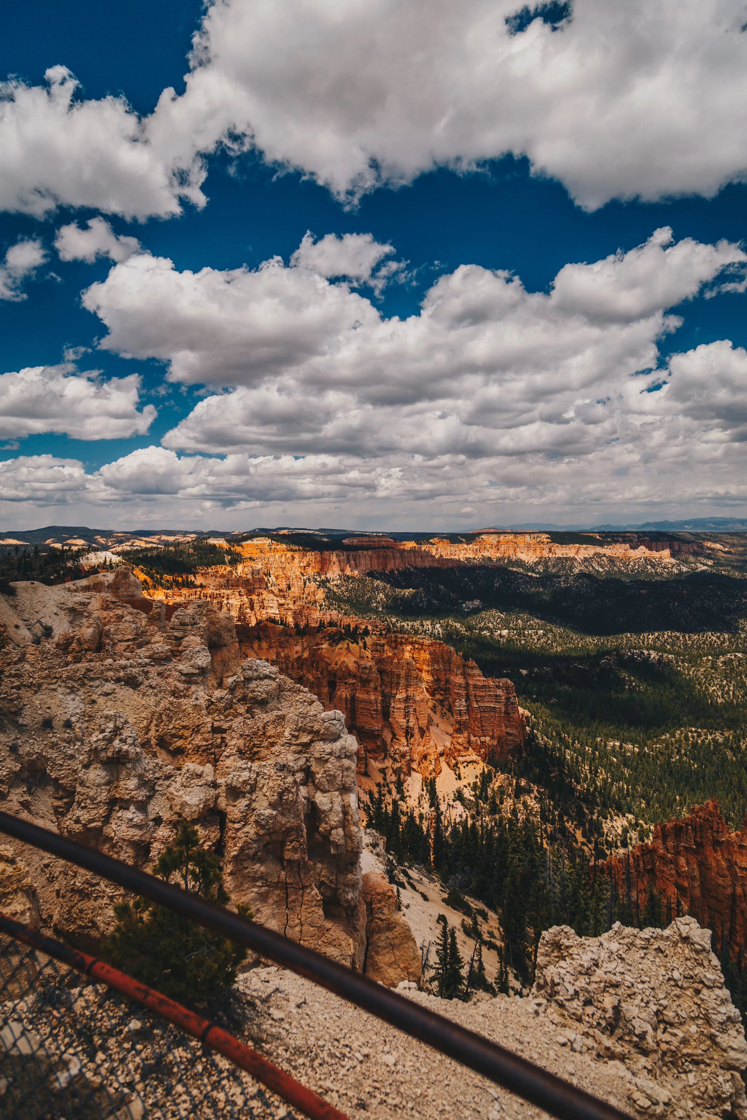 _MG_3444.jpg