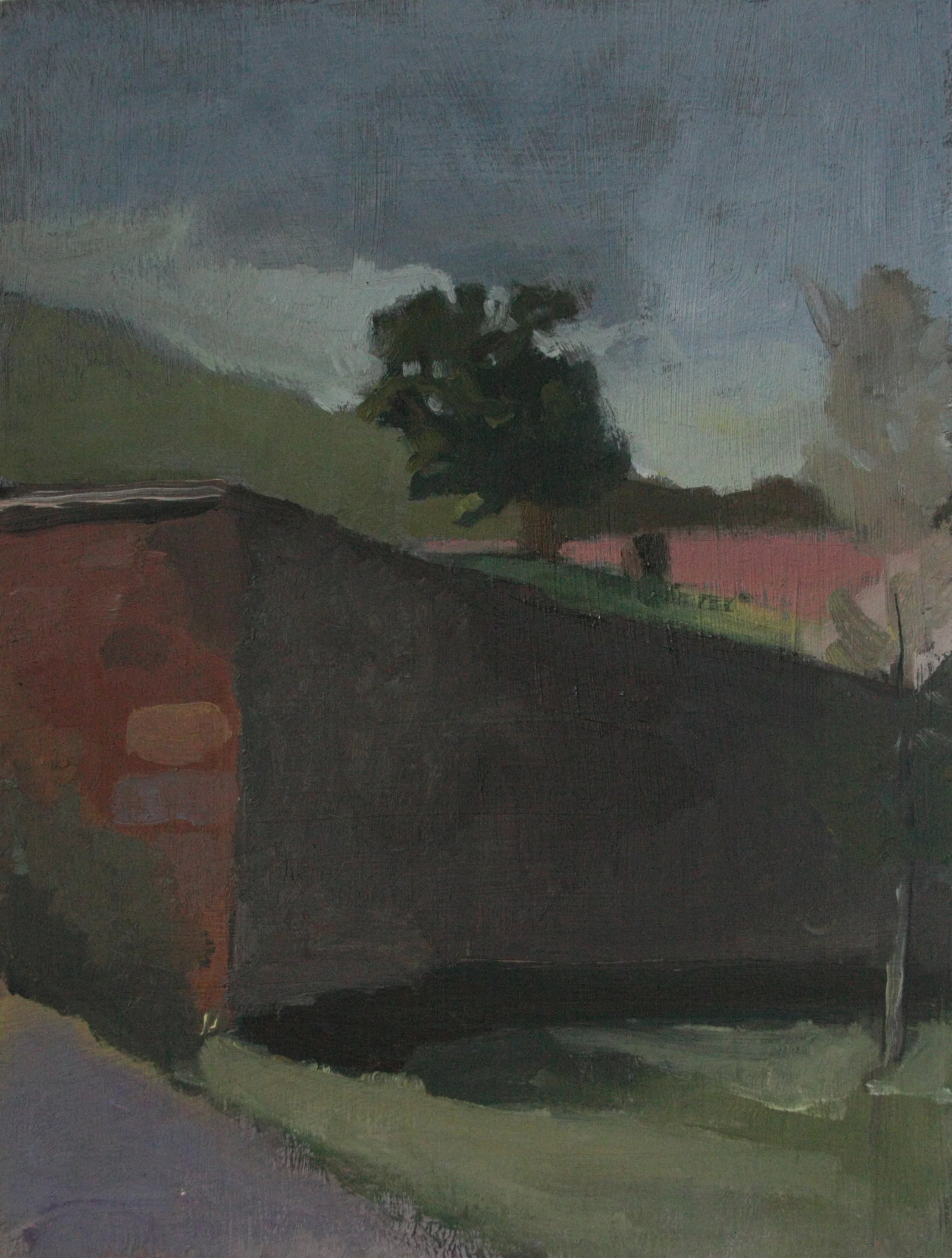 Elm Tree (Dumfries)