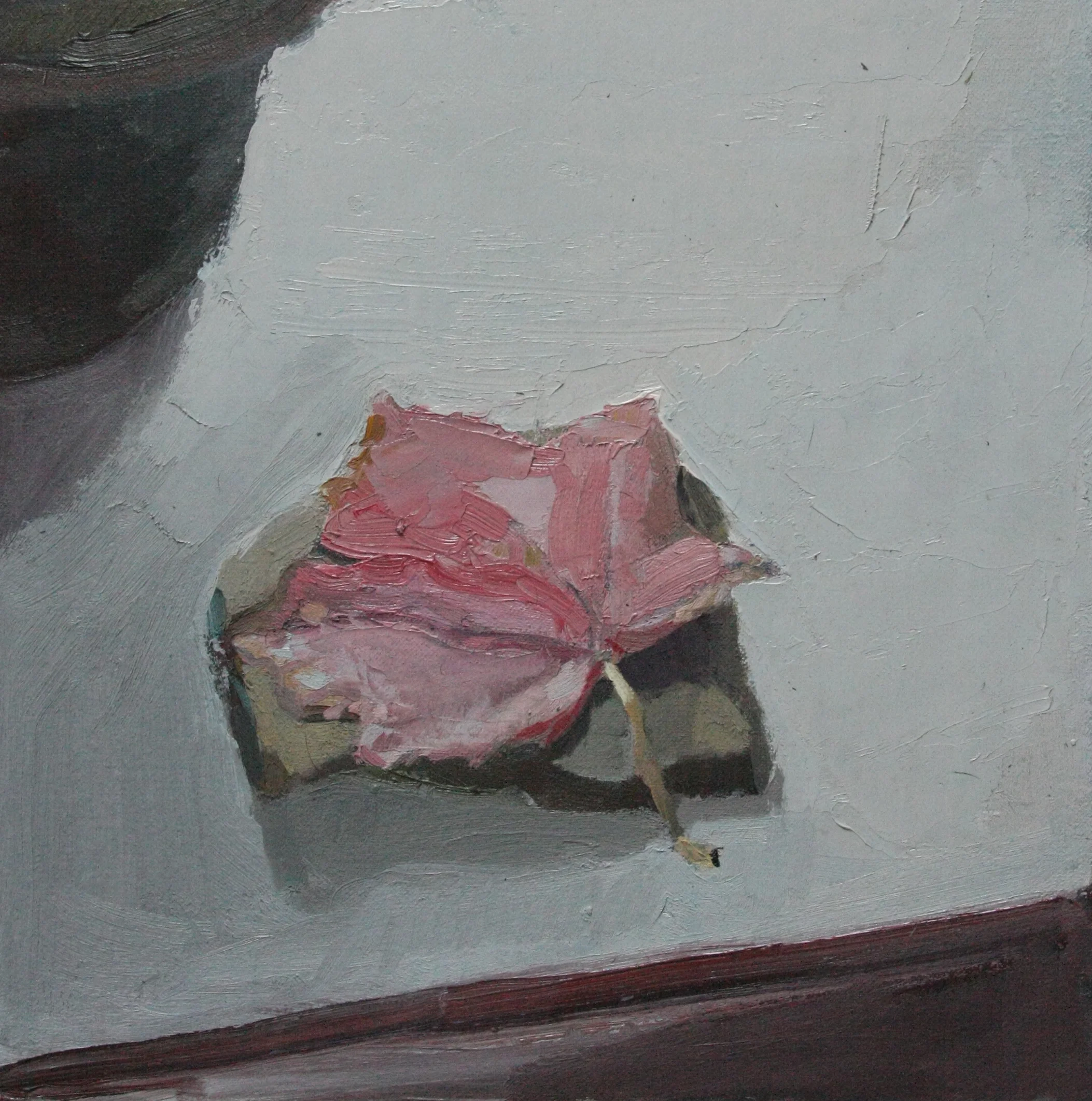 Leaf and Stone
