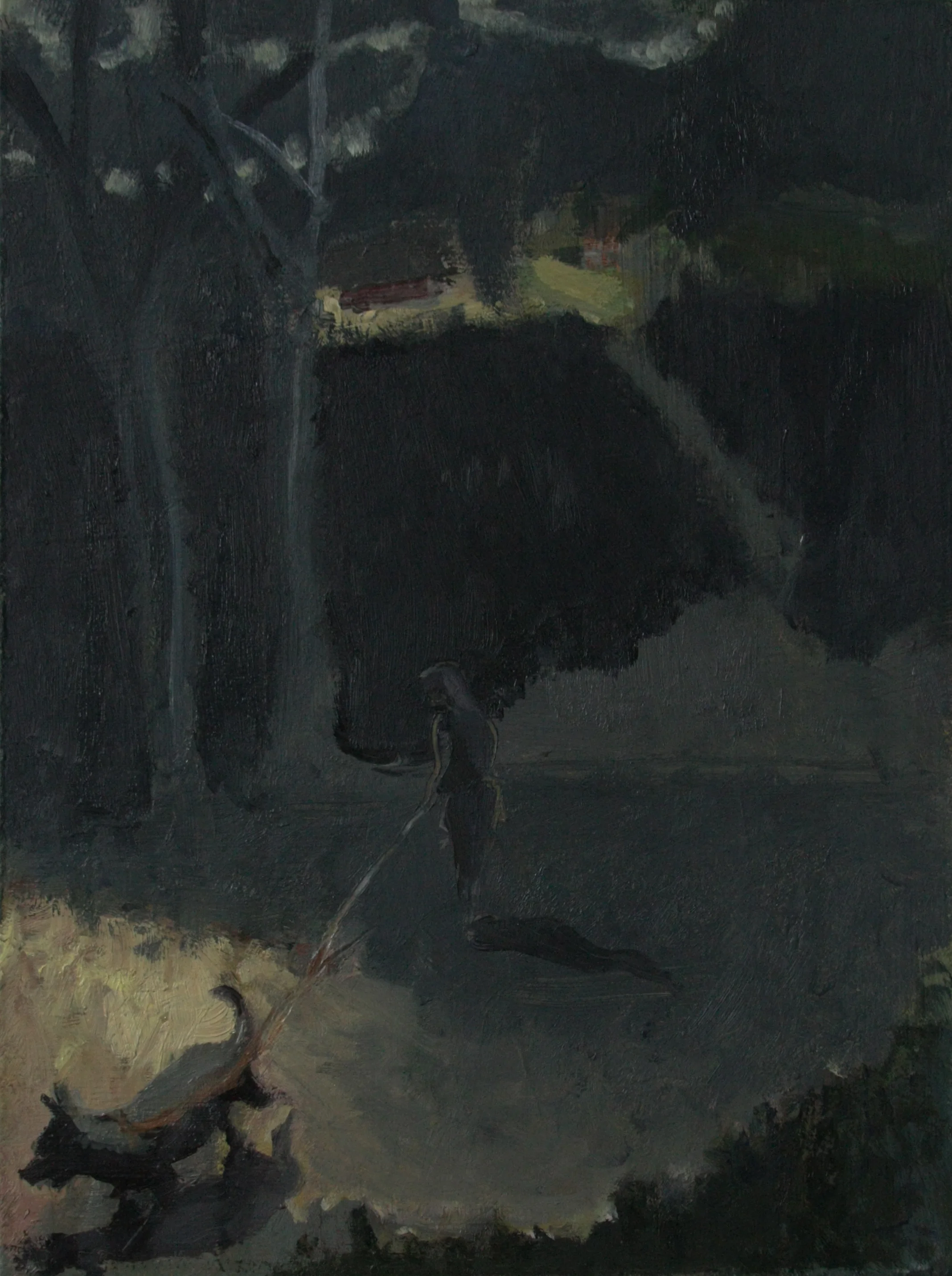 Night Walk