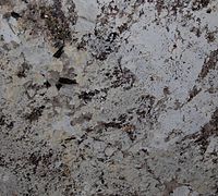 Delicatus White