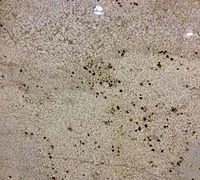 Sienna Beige