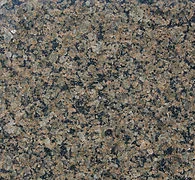 Tropical Brown