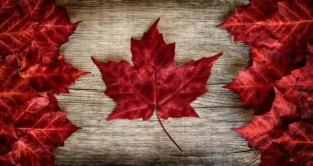 Canada Day Concert at Tractorgrease