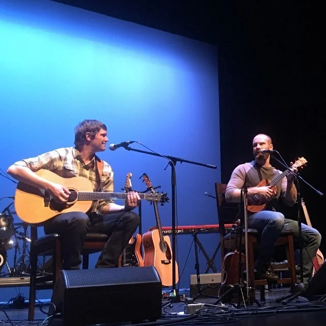 Parliament of Owls Live Stream      