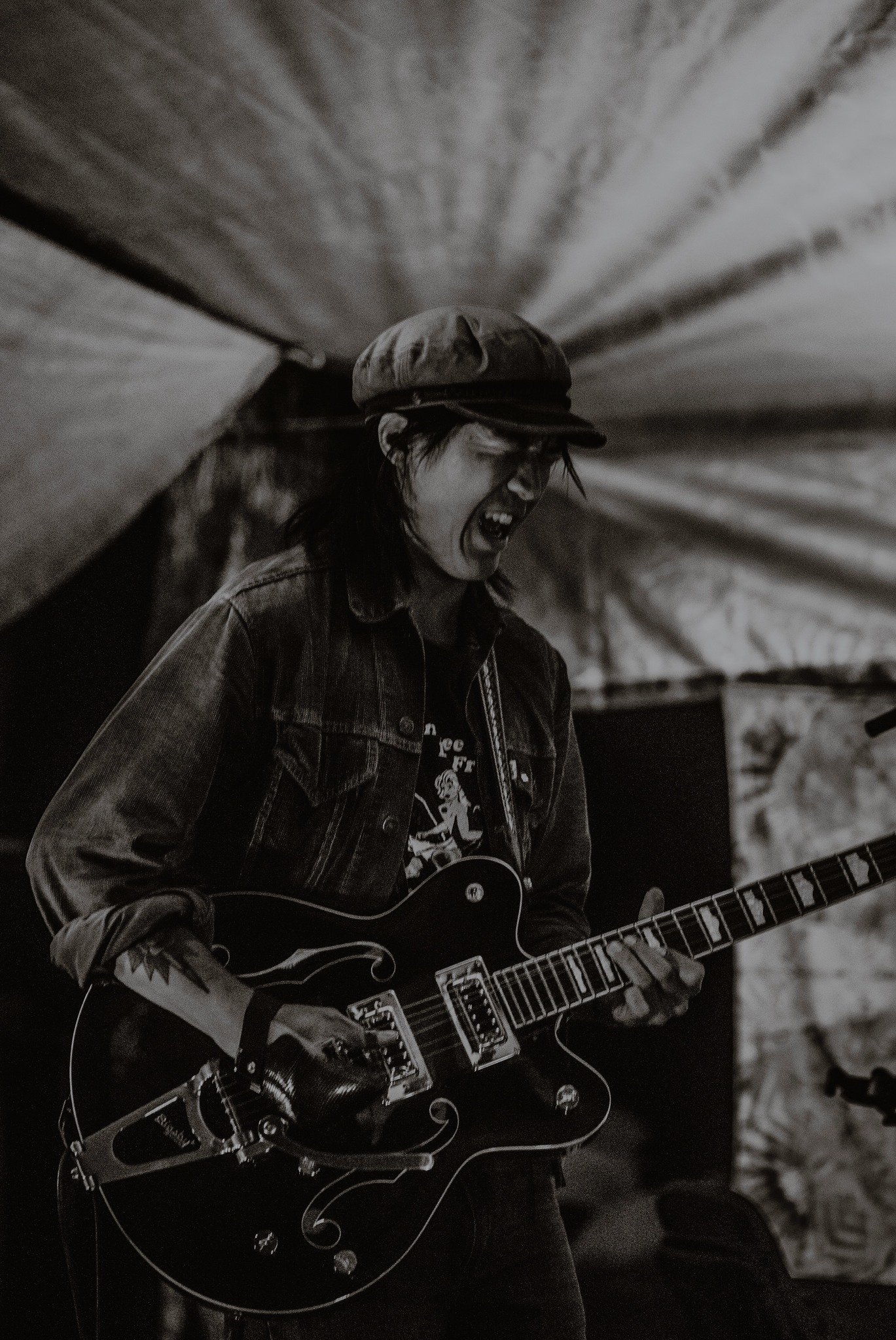 Dogwood &amp; The Shakers