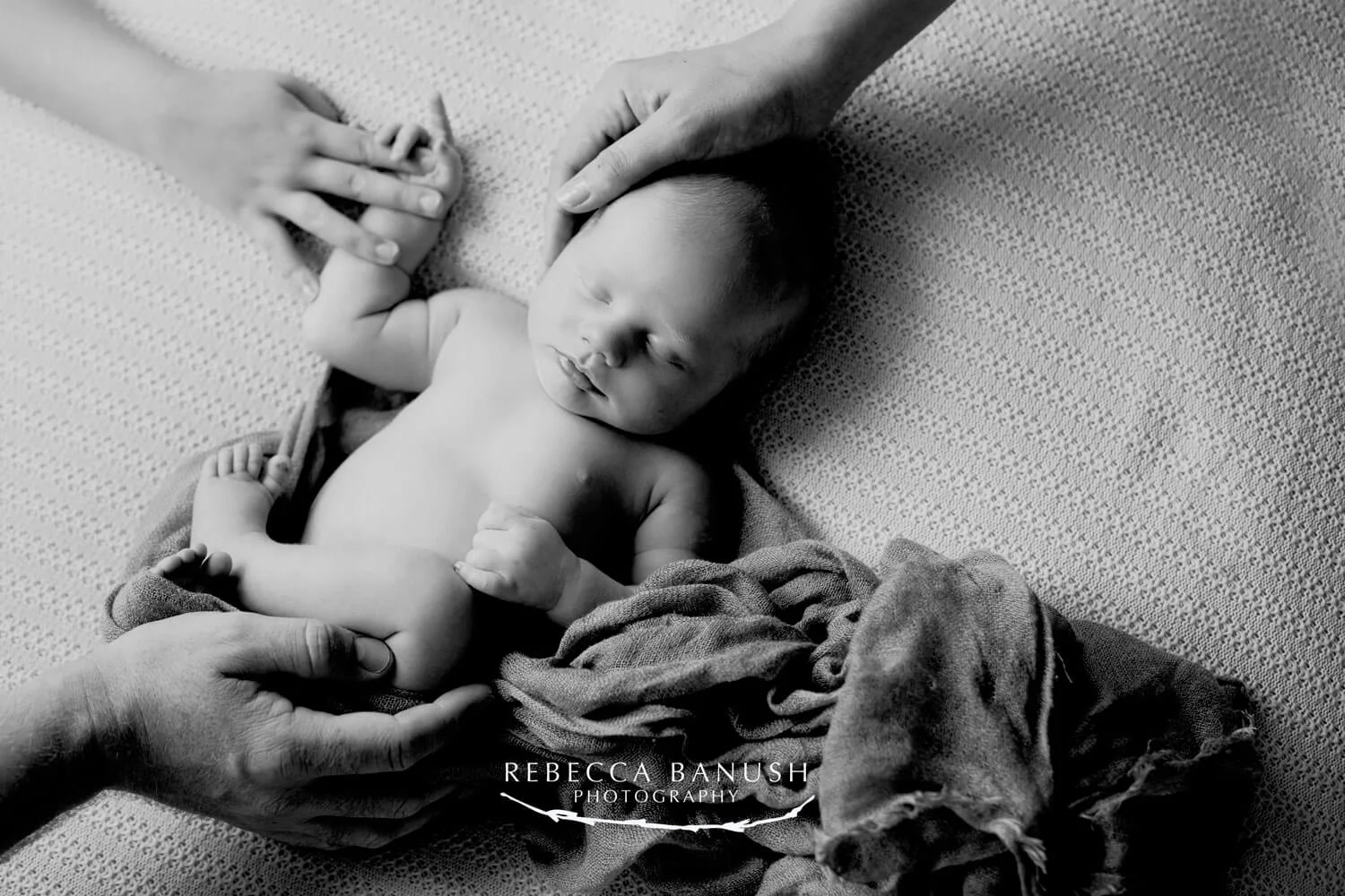 The whole familys hands on their new baby in a lifestyle family shoot