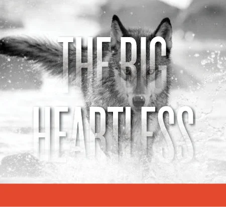Big Heartless_squarish_new2.jpg