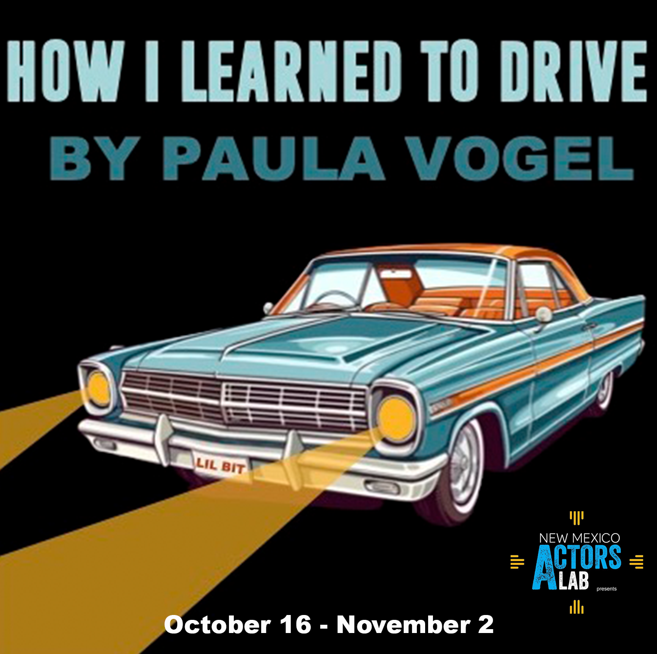 learned-to-drive-banner.png