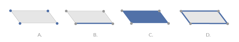 This is an example of a single isolated polygon. A. Vertex B. Edge C. Face D. Border Edge