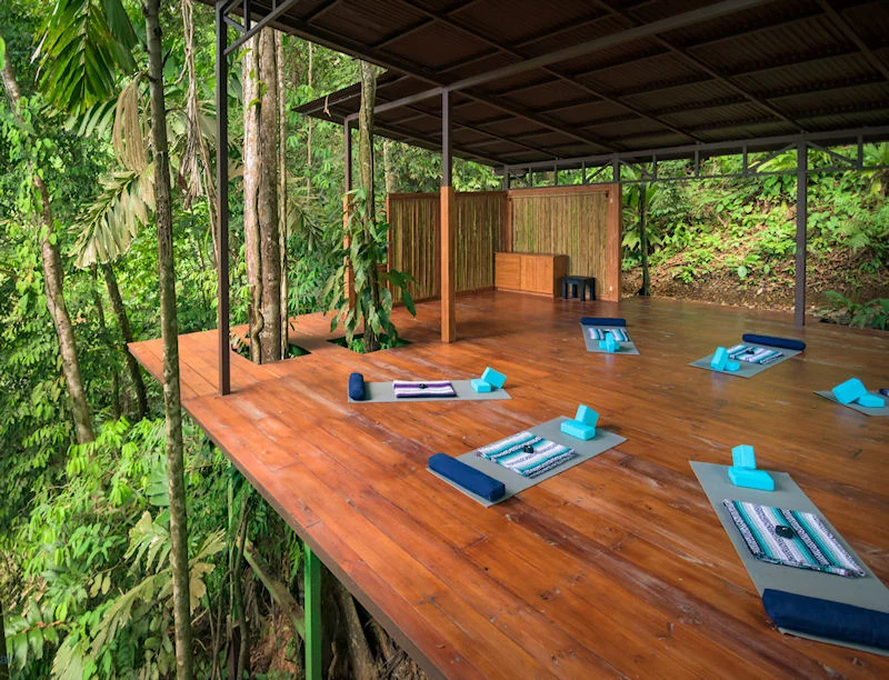 The Jungle Yoga Platform! 