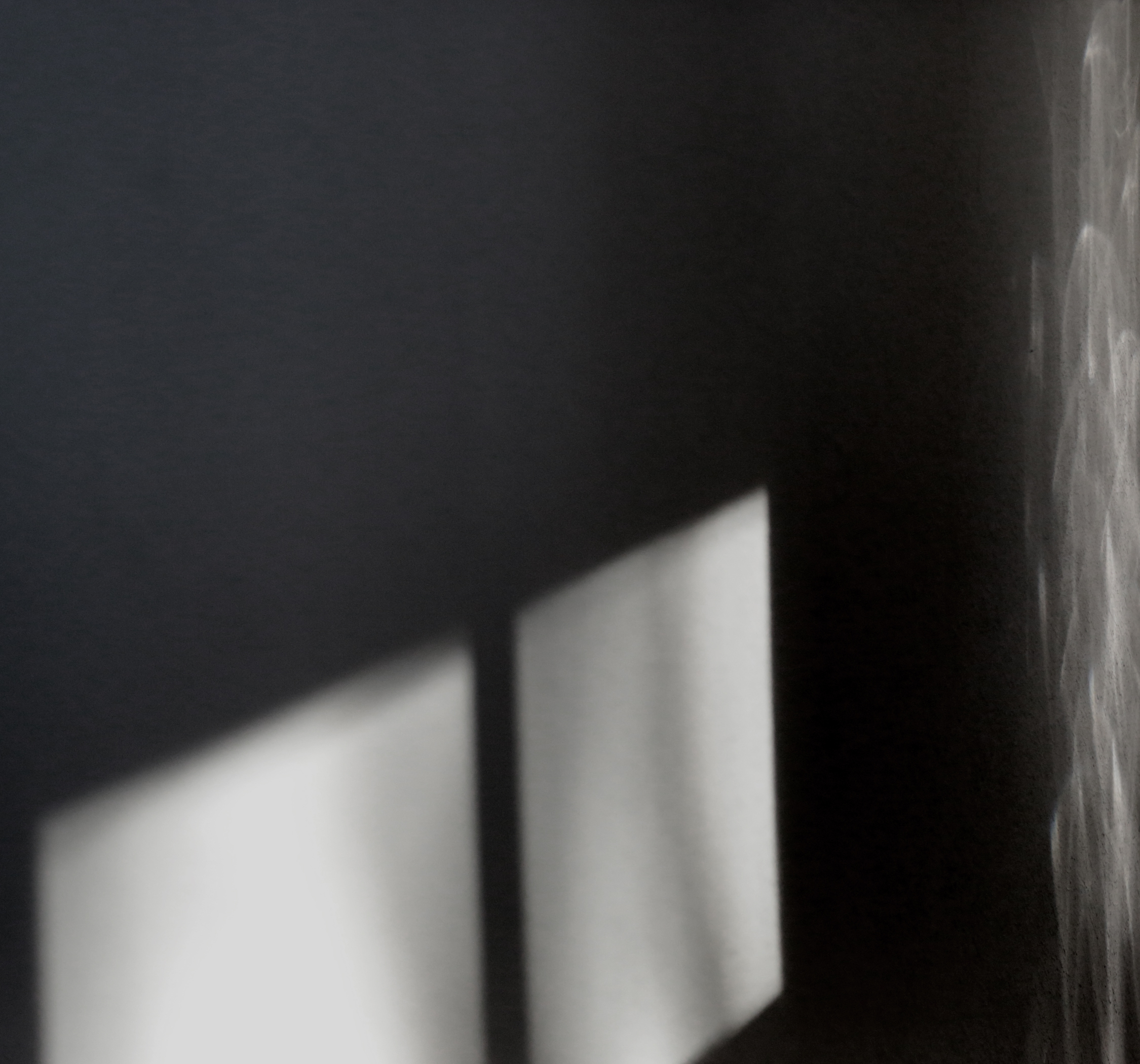 LEXICON OF SHADOWS #5 (STILL) VIDEO 4:00 (LOOP) VARIABLE DIMENSIONS