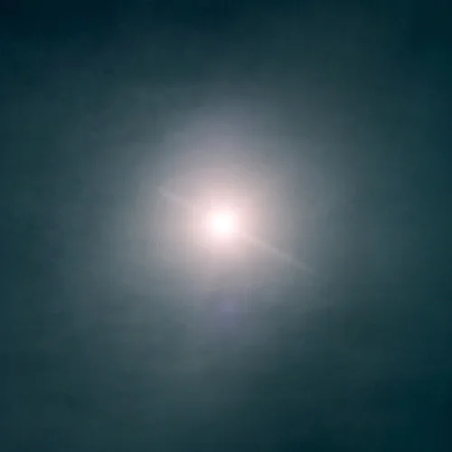 38350009.jpg