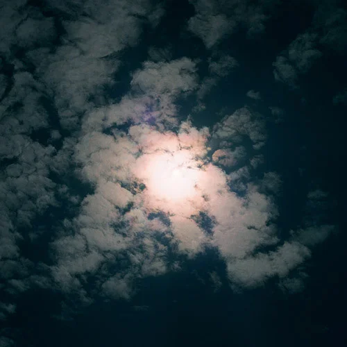 42390004.jpg