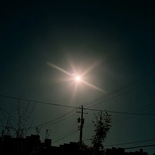 54110011.jpg