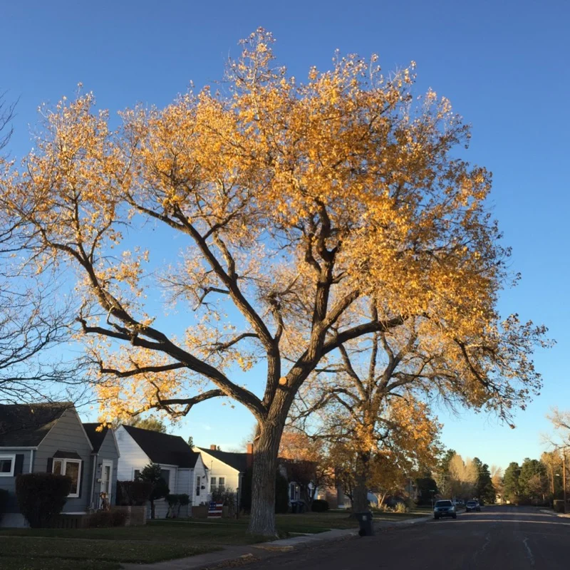 Cheyenne, WY 10/25/16