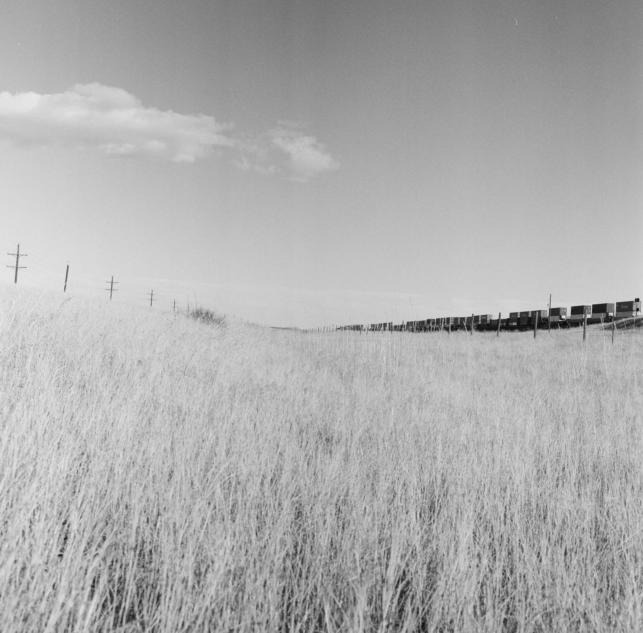 Twenty Three Days to A New World