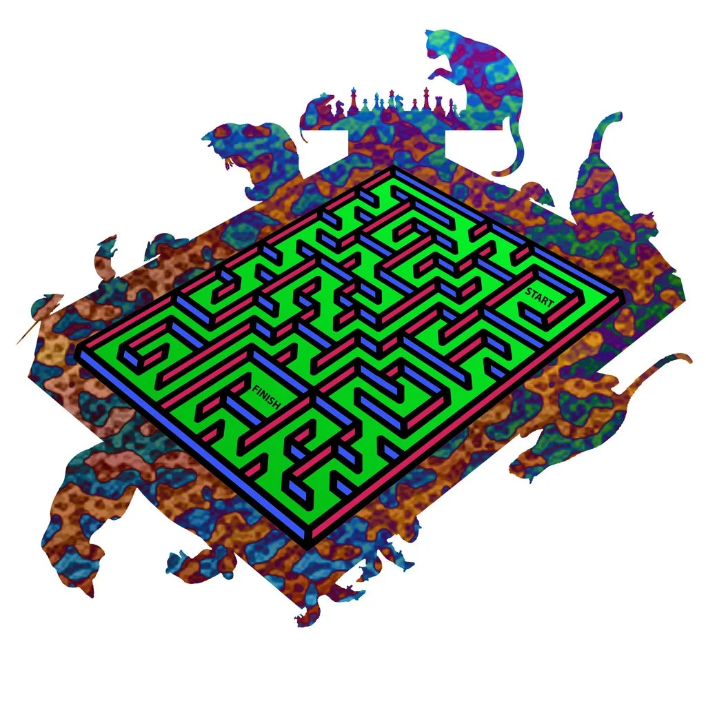 VE14-3D-Batik-puzzle2.JPG