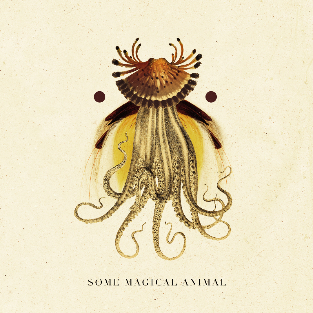 Some Magical Animal - Album Cover - Copy - small.jpg