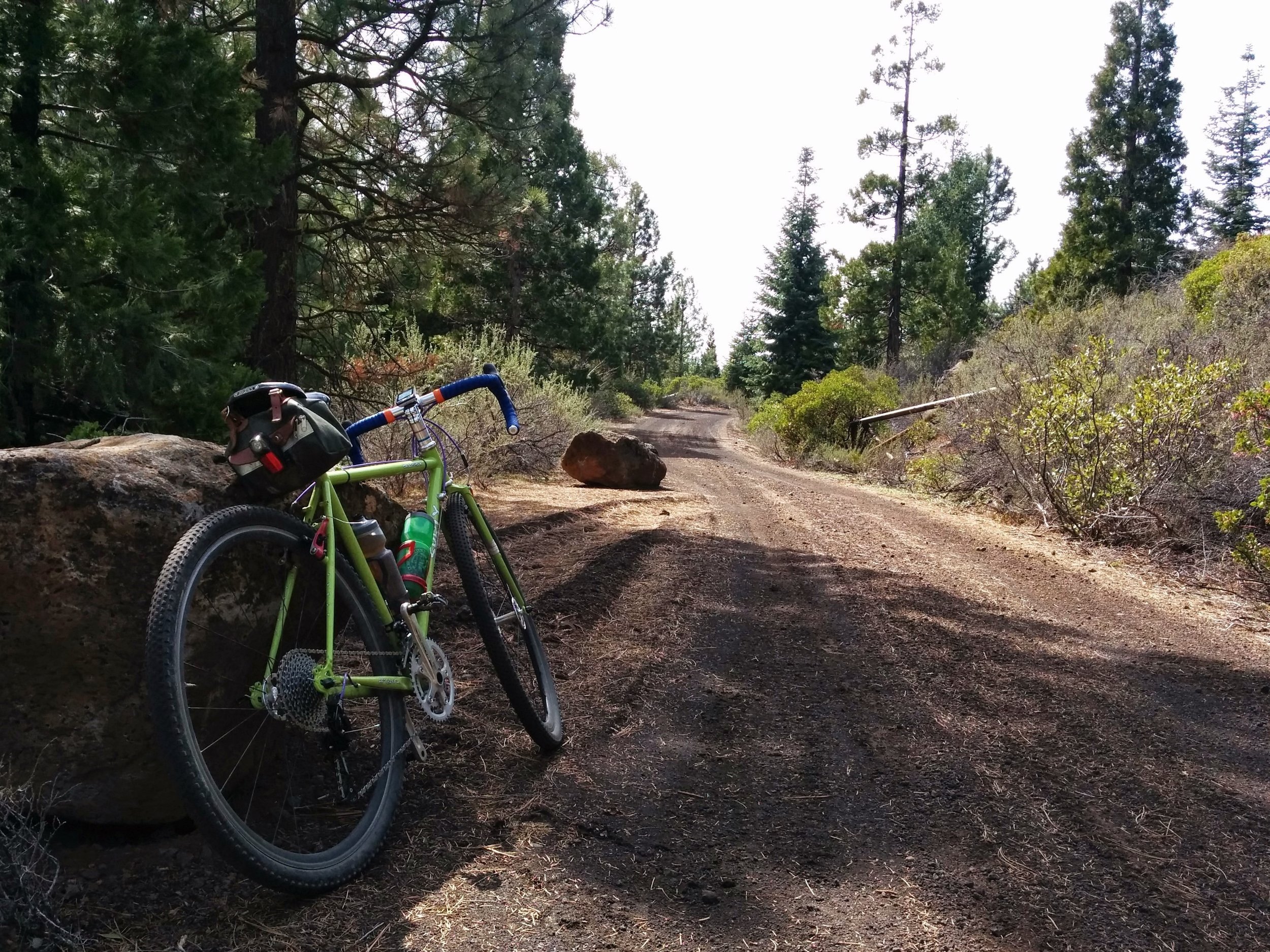 Aspen Lake Loop Road