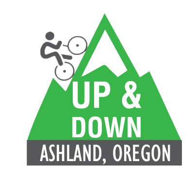 THE 2017 UP & DOWN 