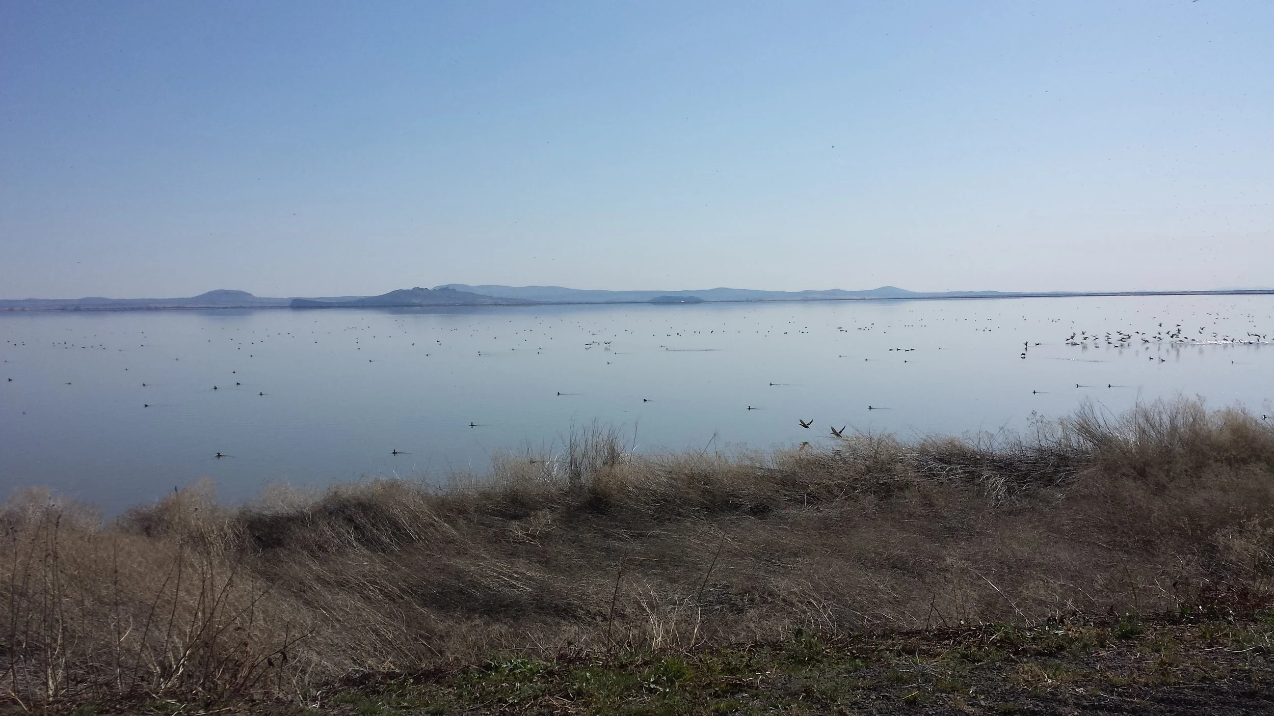 Lava Beds 100 & 50 Mile Ride