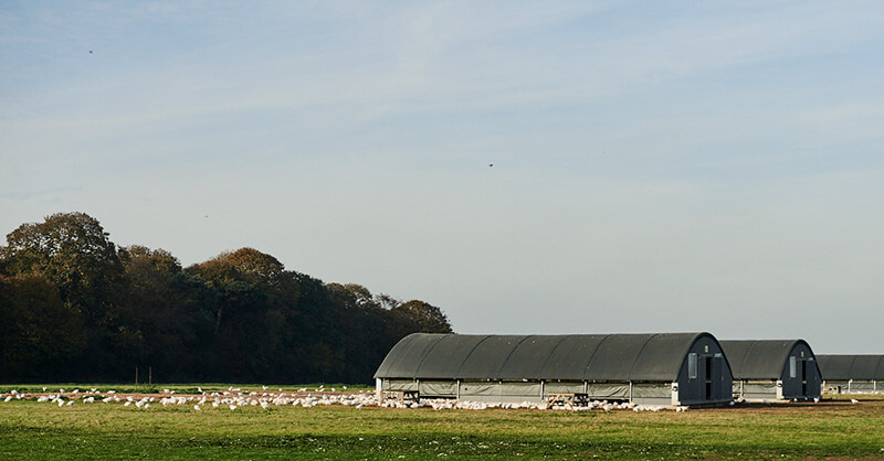 barns9.jpg