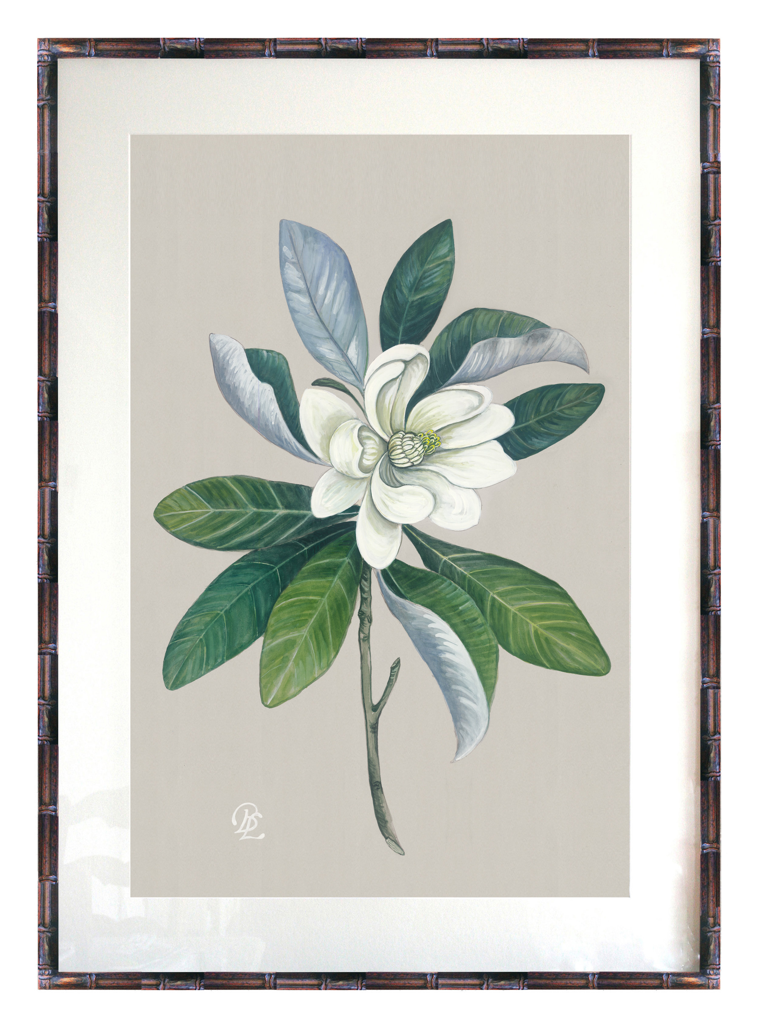 Magnolia — Verandah House Interiors