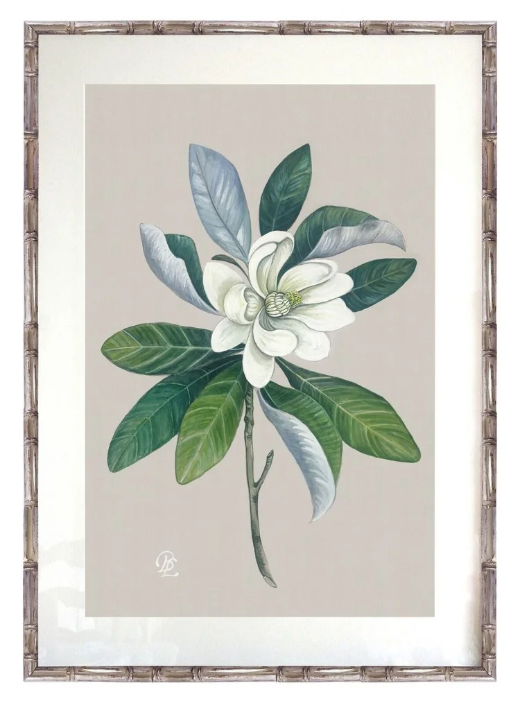 Botanical Collection