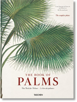 The Book of Palms