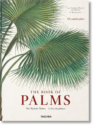 THE BOOK OF PALMS BOOK