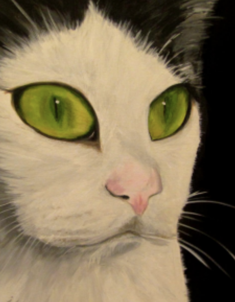 Paint your Pet - Cat