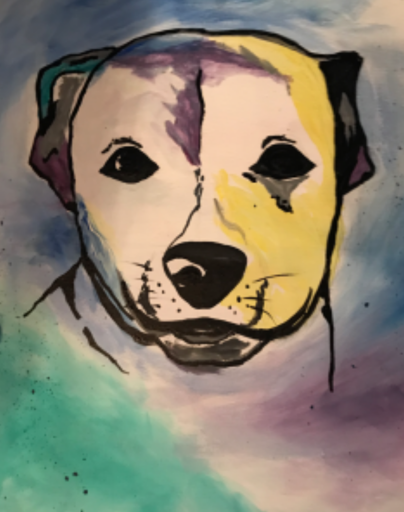 Paint your pet - Pop Art Style