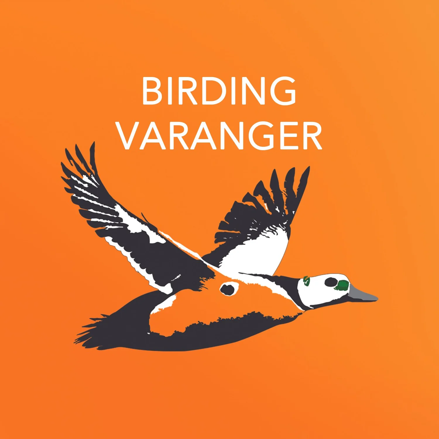 Birding Varanger