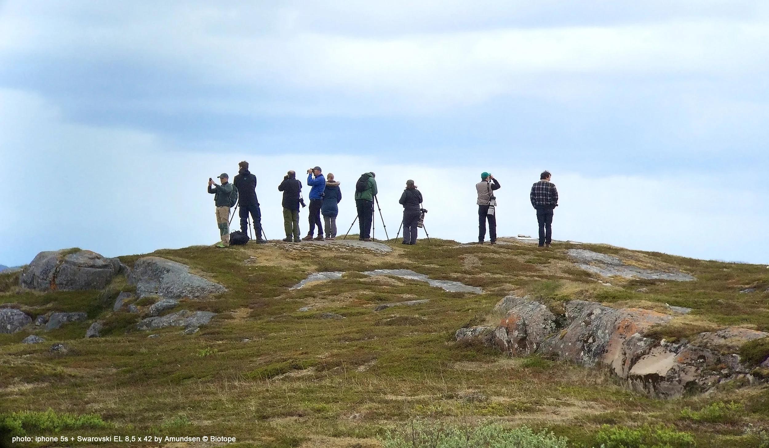 Swarovski tour in Varanger iphonescoping i n Nesseby june 2015 Amundsen © Biotope.jpg