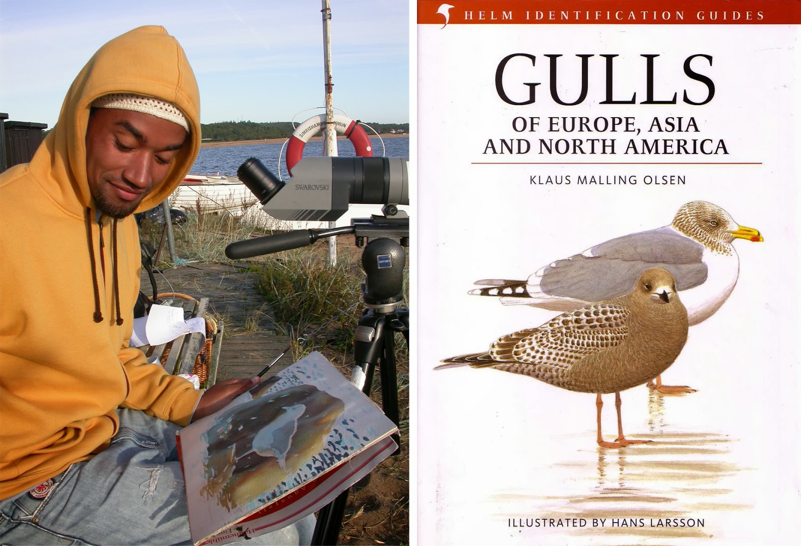 Hans Larsson painting Gulls.jpg