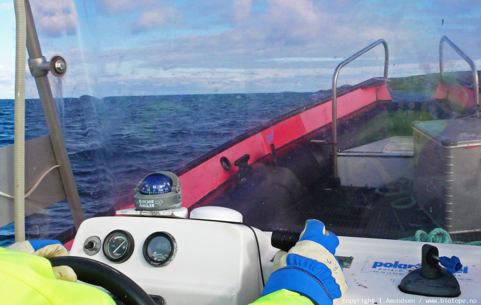 rib vardo june2011 TAmundsen Biotope.jpg