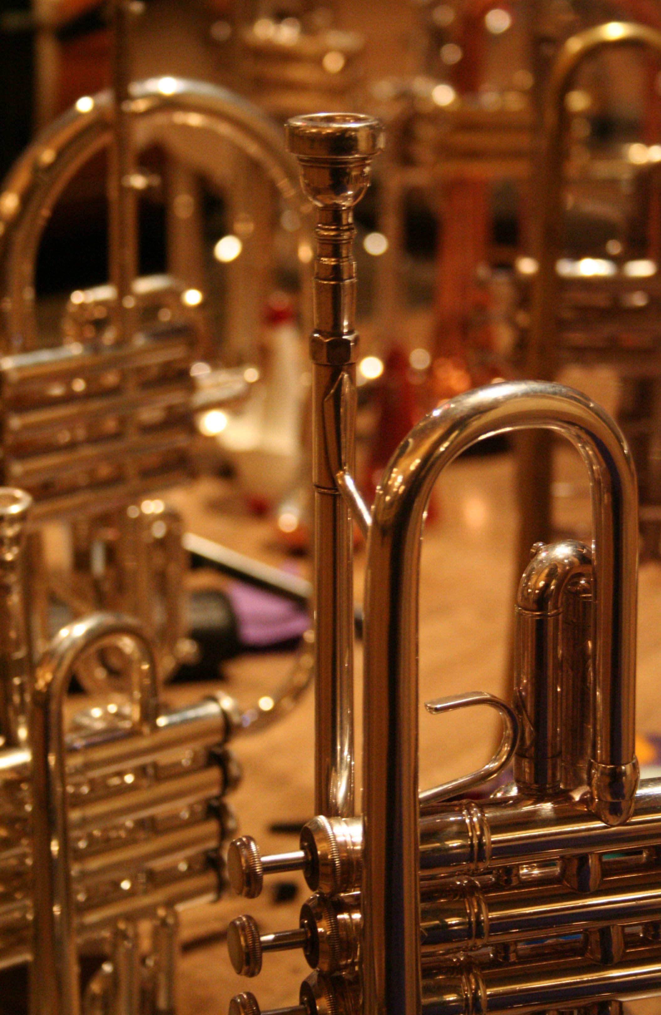Trumpets02262006.jpg