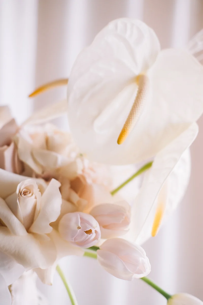 Sure Thing Chapel | Pure Light Creative-2.jpg