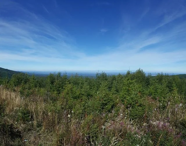 #tacoma #travel #mountains #valley #sky #nature