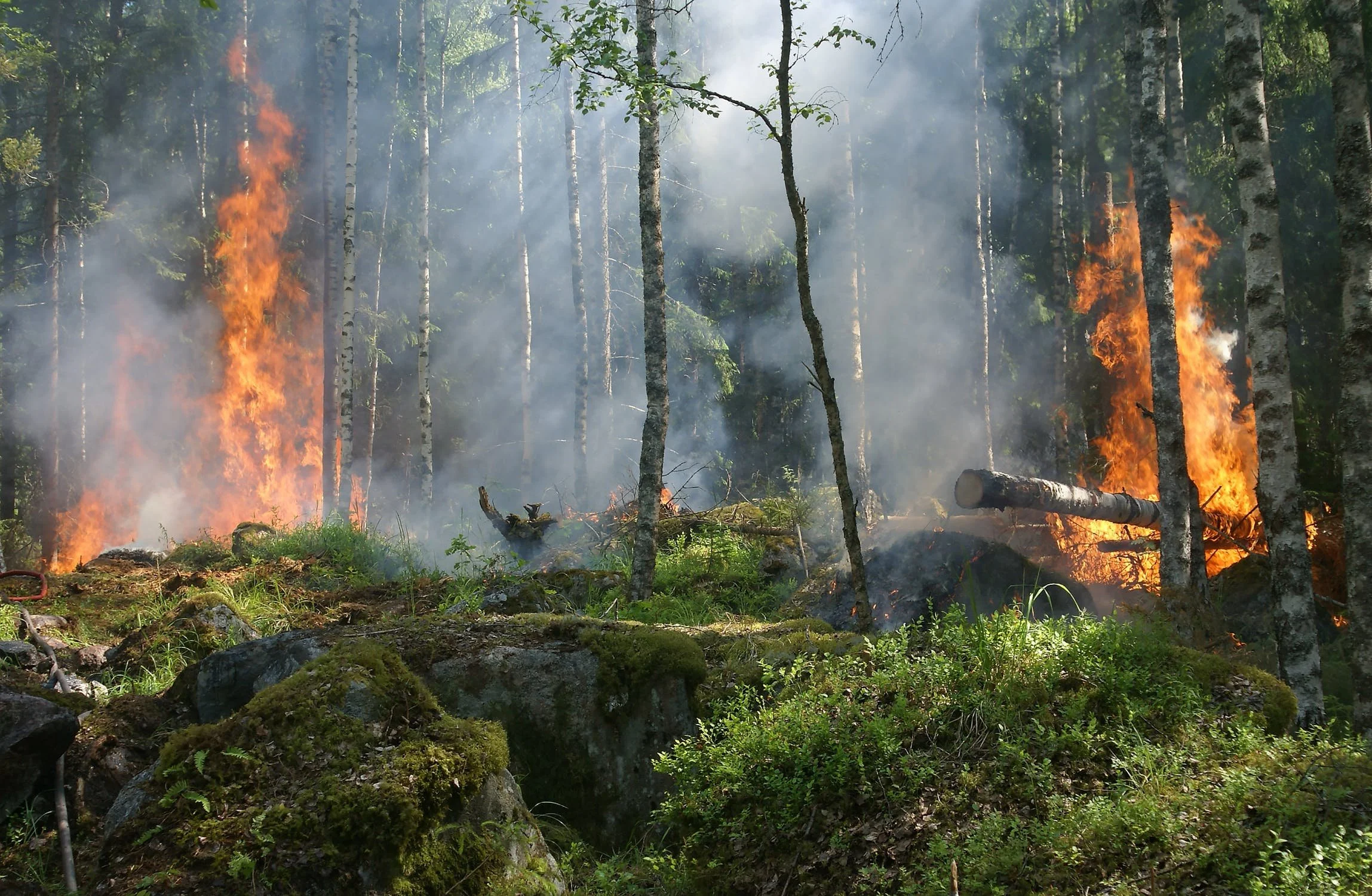 Inspelning från Mittuniversitetets webbinarium "Förändring och lärande i svensk krishantering: skogsbränder och pandemi"