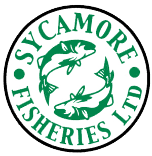 Sycamore Fisheries