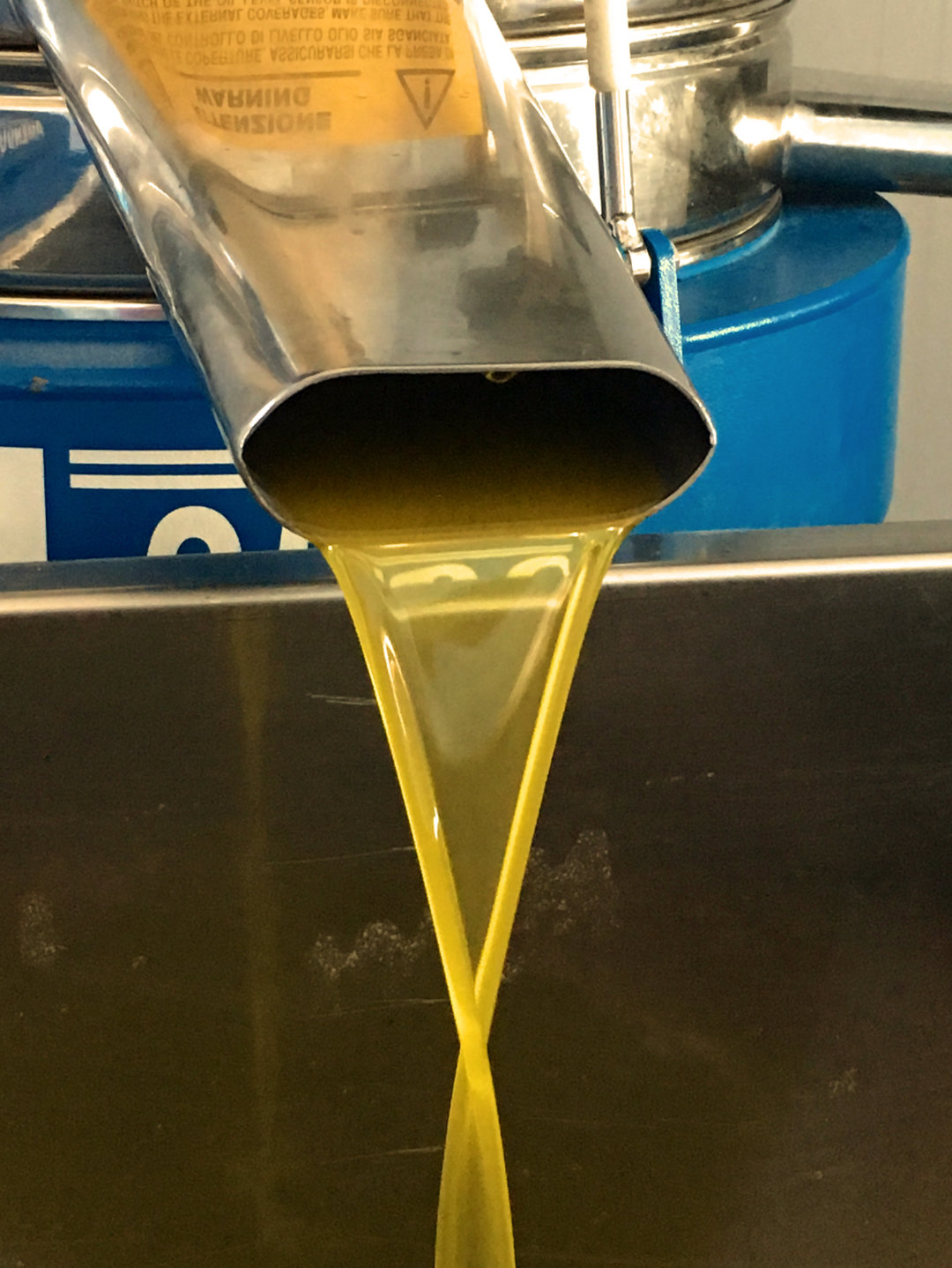 Organic extra virgin olive oil from La Cazalla de Ronda, Andalucia