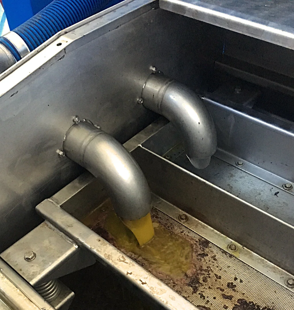 Filtering olive oil for our luxury villa rental in Ronda, Andalucia, Spain