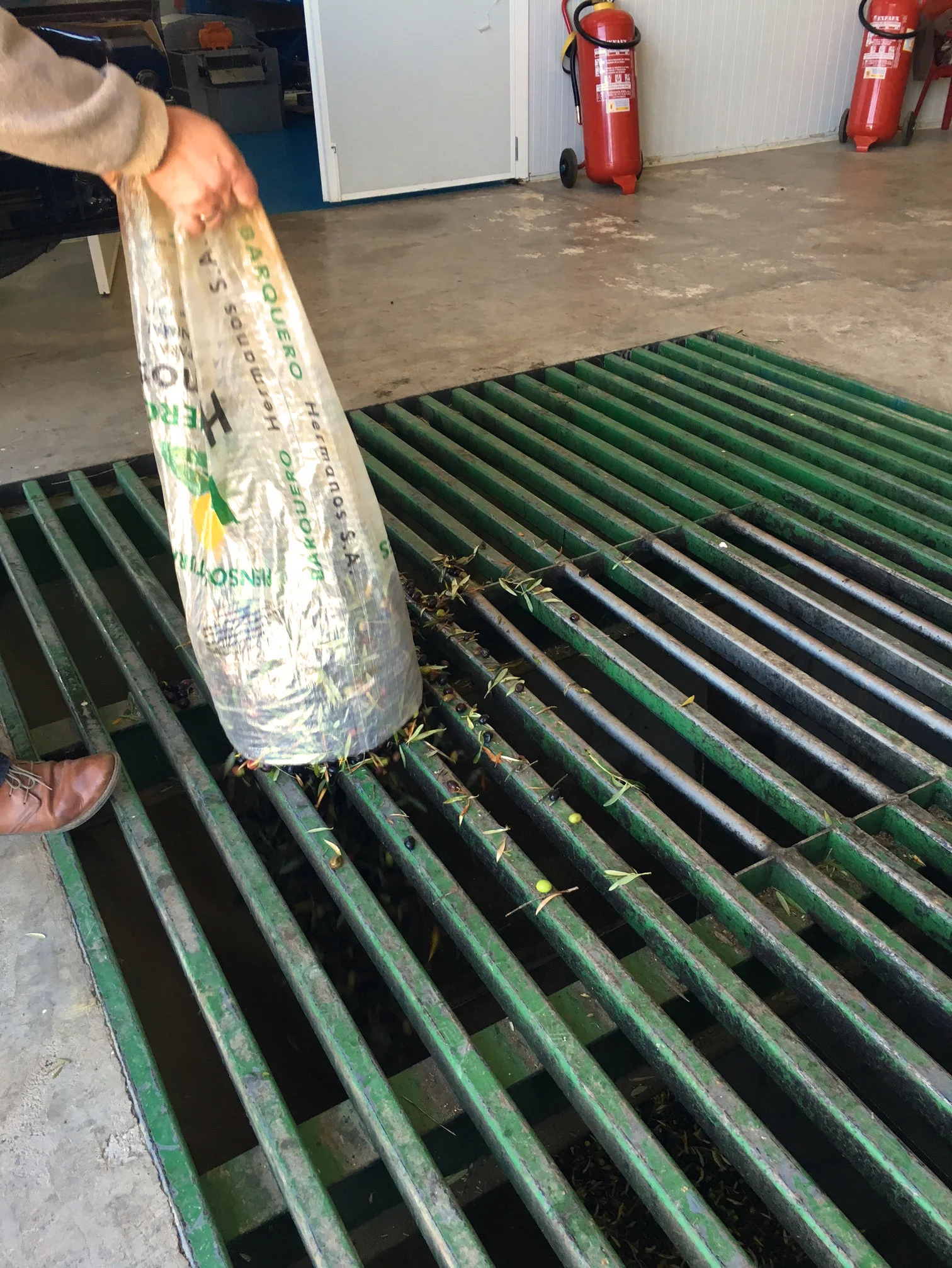 Making oil from olives of La Cazalla, our luxury villa rental in Ronda, Andalucia, Spain