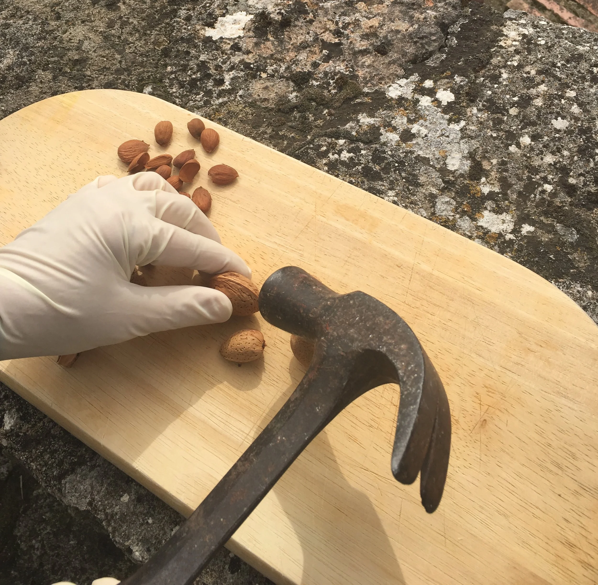 Cracking almonds at La Cazalla: a luxury villa rental in Spain